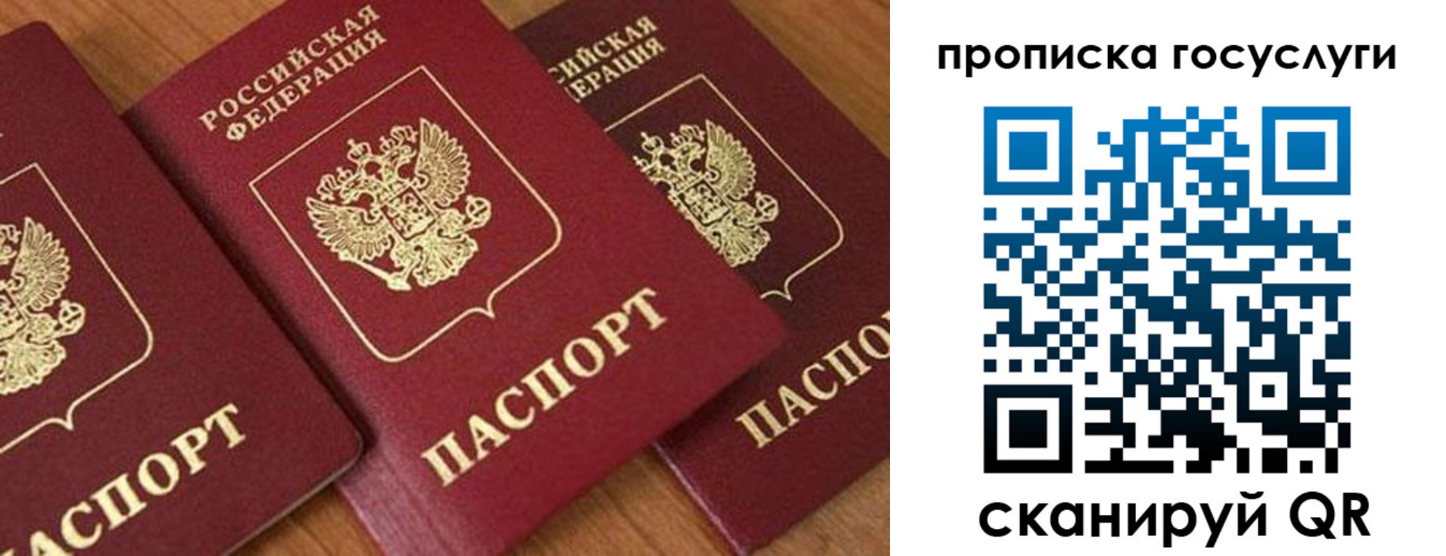 временная прописка в Опочке